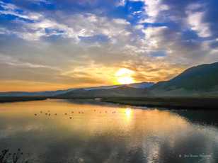 Sunrise of wildlife pond-8328.jpg Sunrise of wildlife pond-8328.jpg